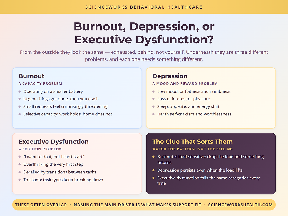 Burnout, depression, and executive dysfunction compared as capacity, mood, and friction problems