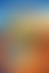 Adult ADHD Diagnosis Without Childhood Records: Do You Need Them for ADHD or Autism?