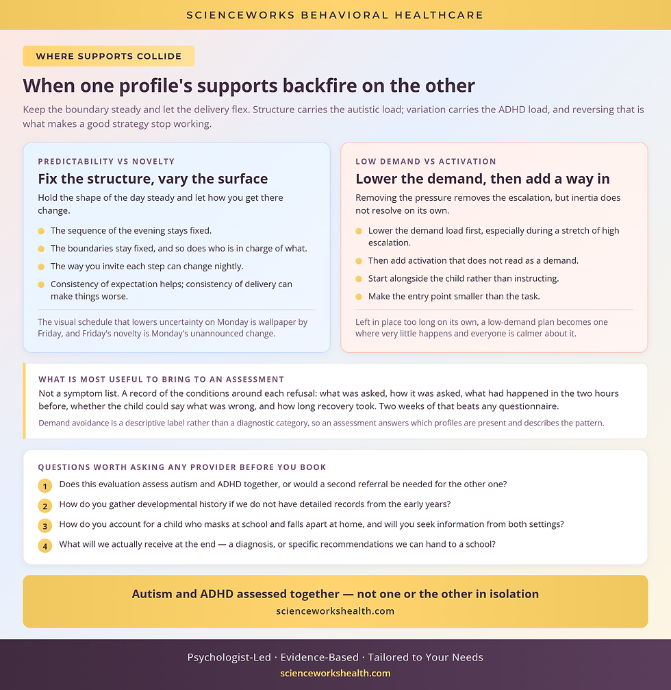 Where autism informed and ADHD informed supports pull against each other, and what to bring to an evaluation