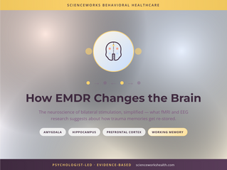 How EMDR Changes the Brain: The Neuroscience of Bilateral Stimulation