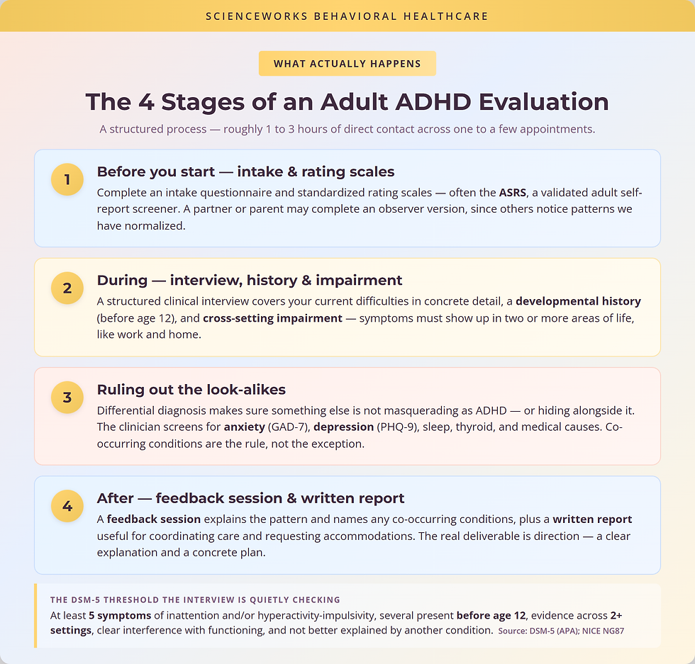The 4 stages of an adult ADHD evaluation