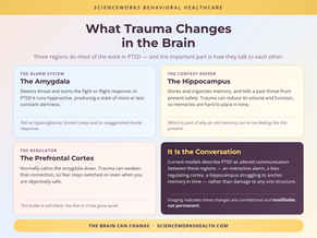 The Neuroscience of PTSD: How Trauma Affects Your Brain
