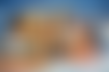 What Is the CAT-Q? A Plain-English Guide to Autistic Masking and Camouflaging