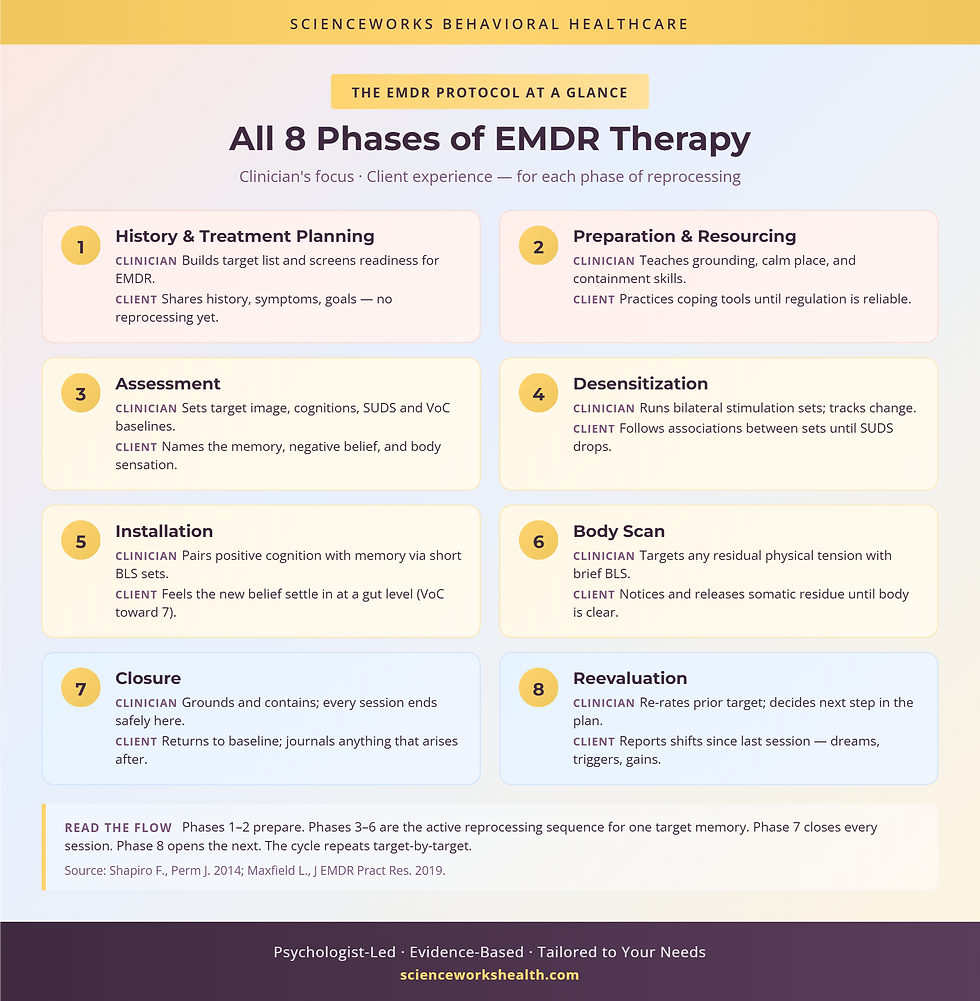 All 8 phases of EMDR therapy — clinician focus and client experience per phase