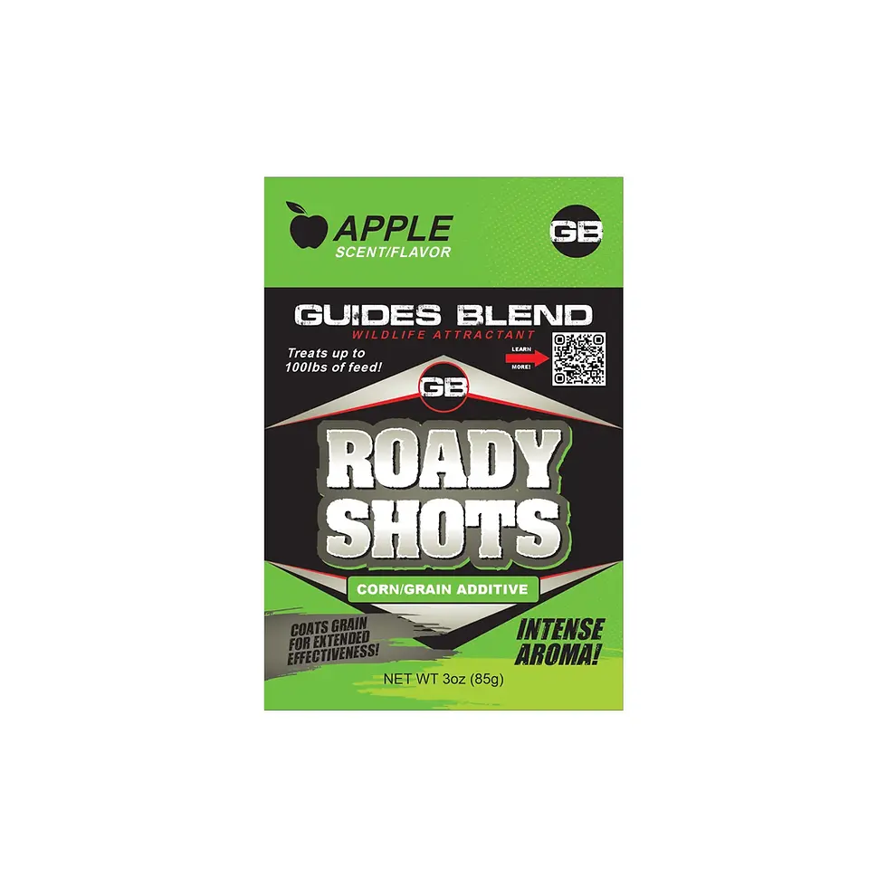 roadyshots1.webp