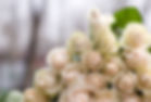 Wedding Flowers_edited.jpg