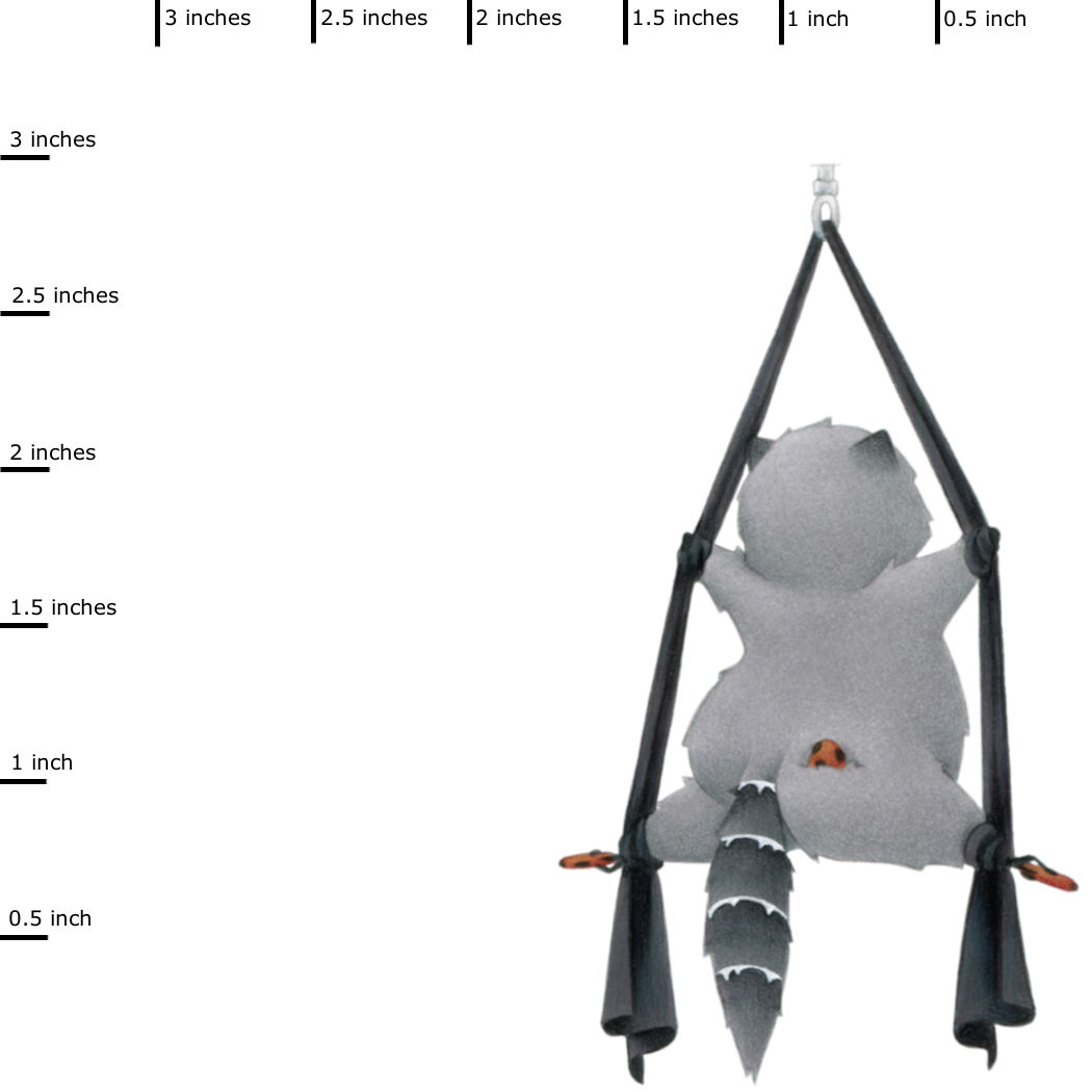 A measurement of a sticker of a silk dancer raccoon doing the splits with the fabric with a cookie in each foot