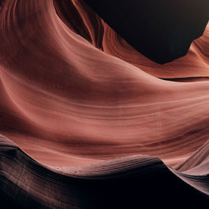 Arizona State University, Tempe, Arizona