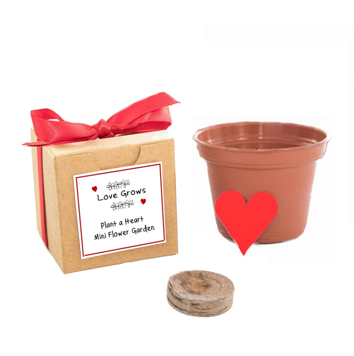 Love Grows Flower Seed Garden Grow Kit Gift
