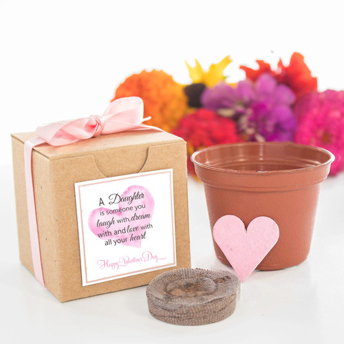 Valentine's Day Flower Seed Grow Kit Gift for Daughter Nature Favors