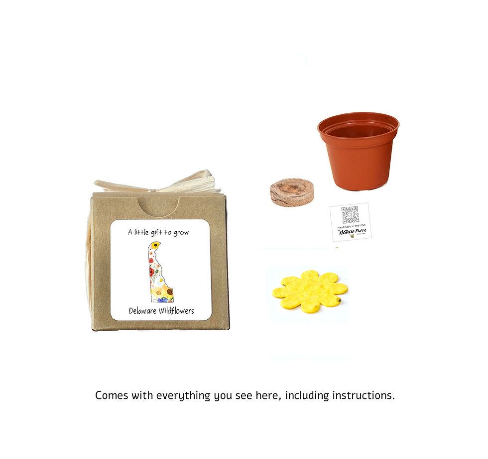 Thumbnail: Delaware Gift Box Grow Kits™ Wildflower Seeds by Nature Favors™