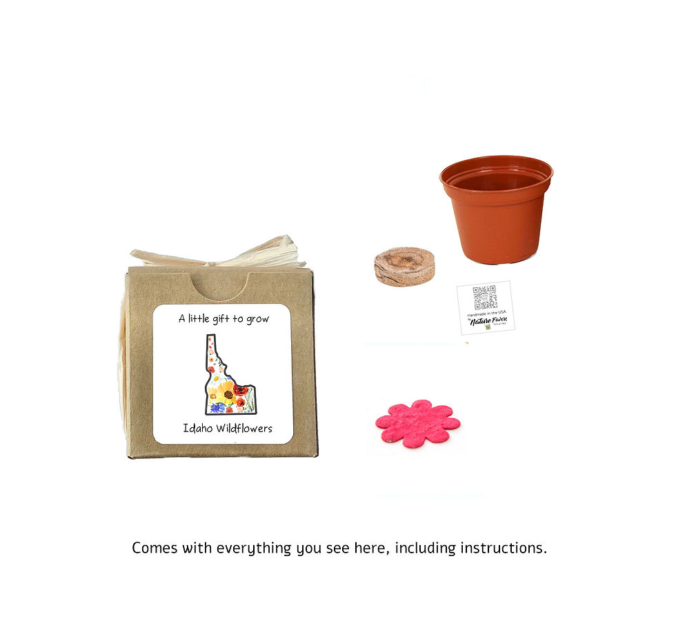 Thumbnail: Idaho Gift Box Grow Kits™ Wildflower Seeds by Nature Favors™