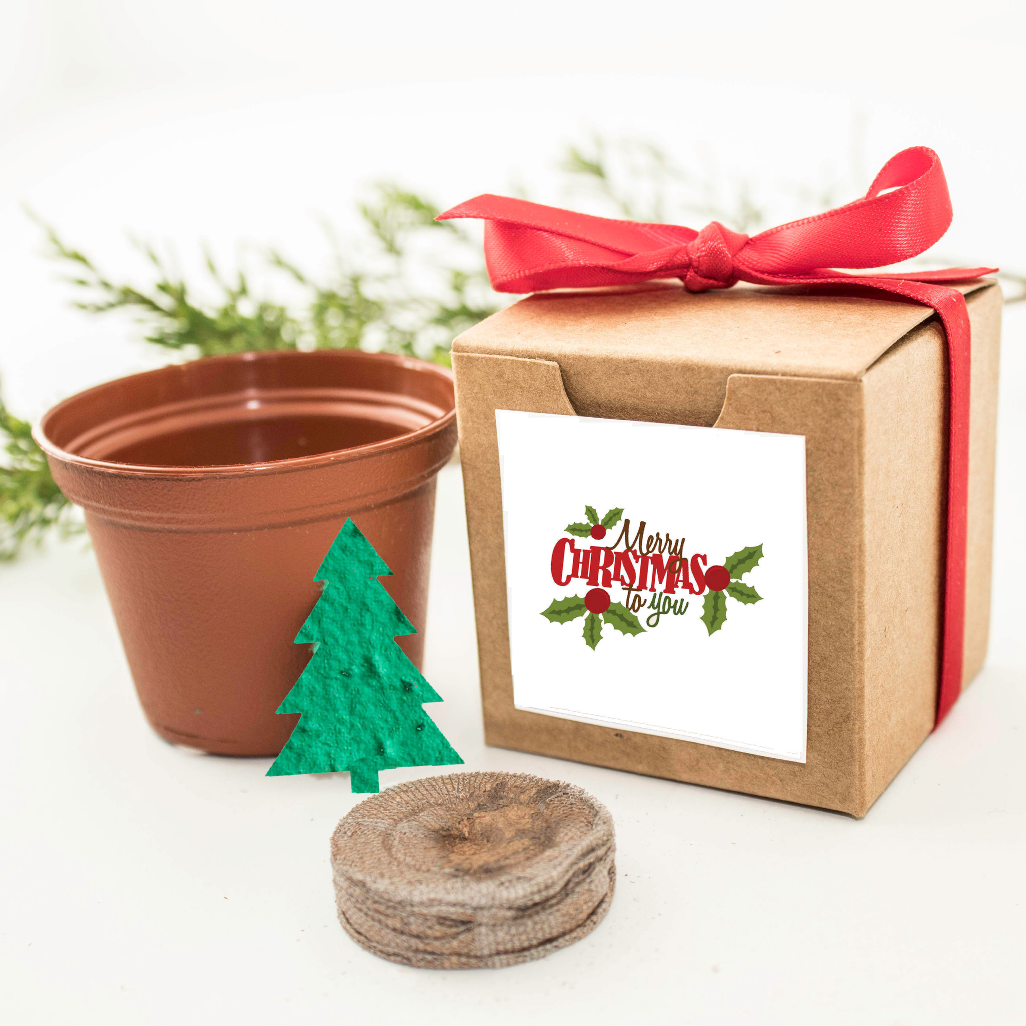 Christmas Tree Gift to Grow