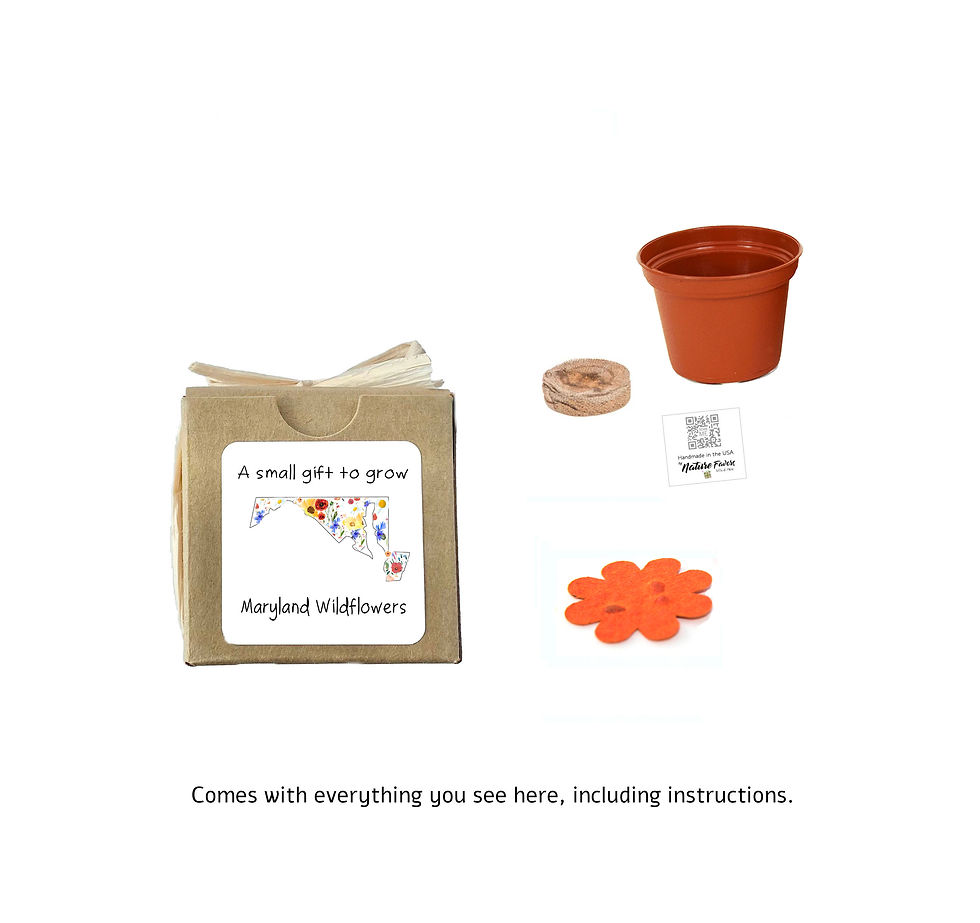 Thumbnail: Maryland Gift Box Grow Kits™ Wildflower Seeds by Nature Favors™
