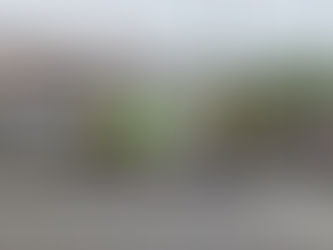 ロードサポート除草清掃活動2025/5/10