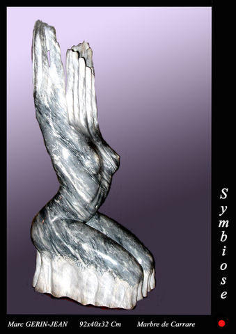 Cadre Symbiose copie.jpg