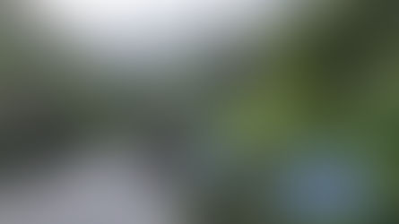 Cape Verde: Official language, Creole and travel vocabulary