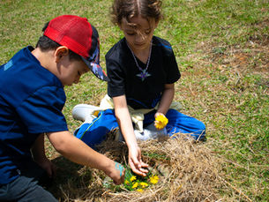 Cómo la inclusión de la naturaleza en el aprendizaje favorece el desarrollo de habilidades en los más pequeños