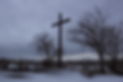 _DSC0018.gif