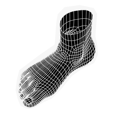 3D-Foot-web.gif