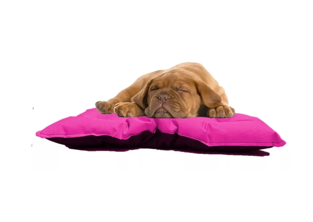 Cama Tapete Uso Rudo Mediana