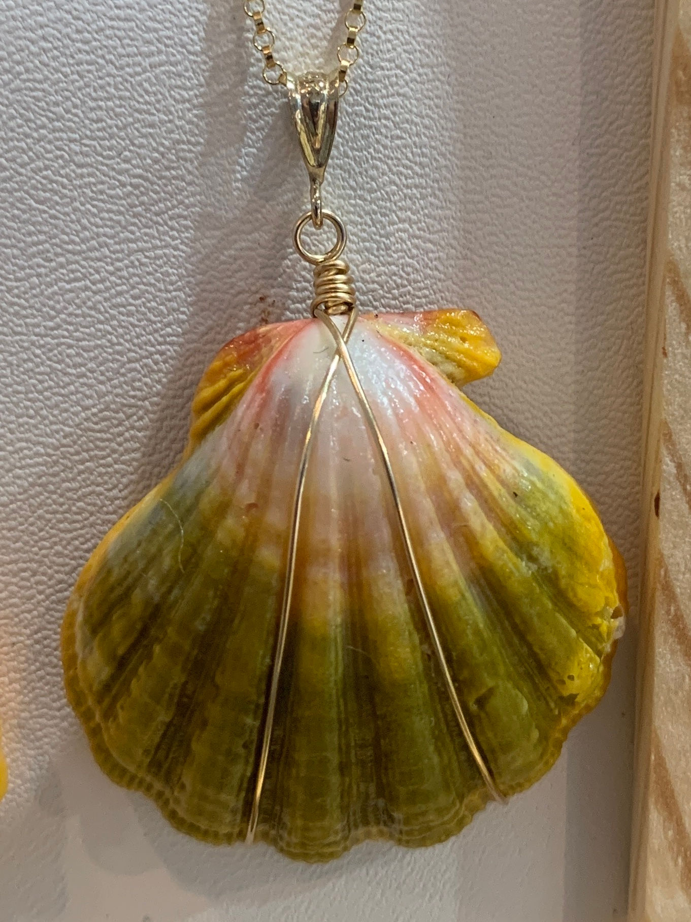 Large Sunrise Shell Necklace GF
