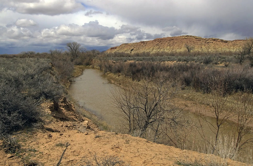 Skin River.jpg