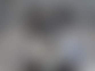 ミニチュアシュナウザー MS0010