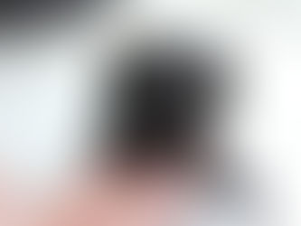 ミニチュアシュナウザー MS0004