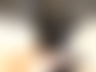 ミニチュアシュナウザー MS0009