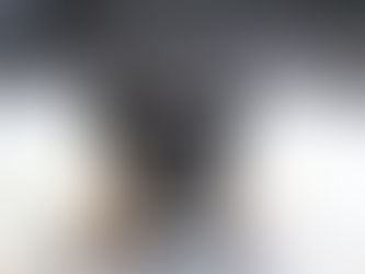 ミニチュアシュナウザー MS0003