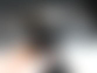 ミニチュアシュナウザー MS0006