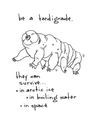 Be a tardigrade.