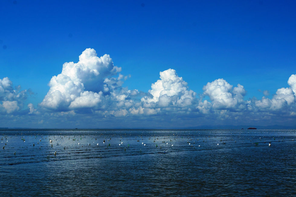 海園