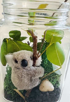 IMG_1736 (1)_edited_edited.jpg