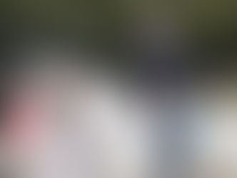 Suite du diaporama cso 27 mars