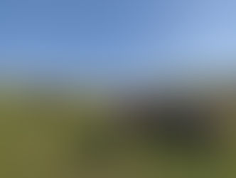 📣 C’est le printemps au poney-club La Réole 🌸🐴