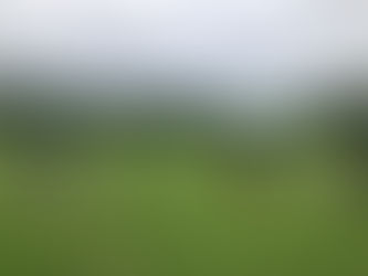 目白台運動公園練習 中高学年
