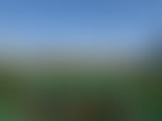 いくせいカップ第20回東京都キッズU6サッカー大会