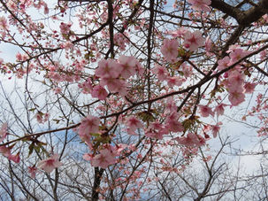 卒業記念大会（vs 富士見台、大塚）