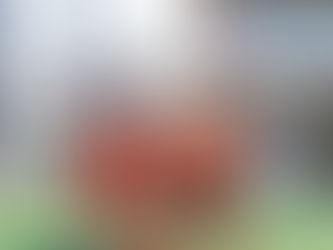 卒業記念大会始まる