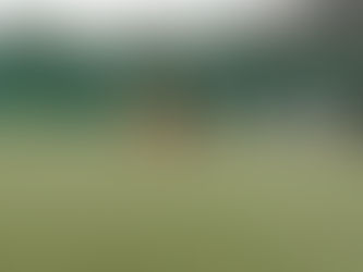 豊島区リーグ予選 U12