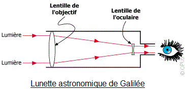 Lentilles