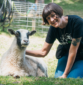 WomanwithSheepweb.jpg