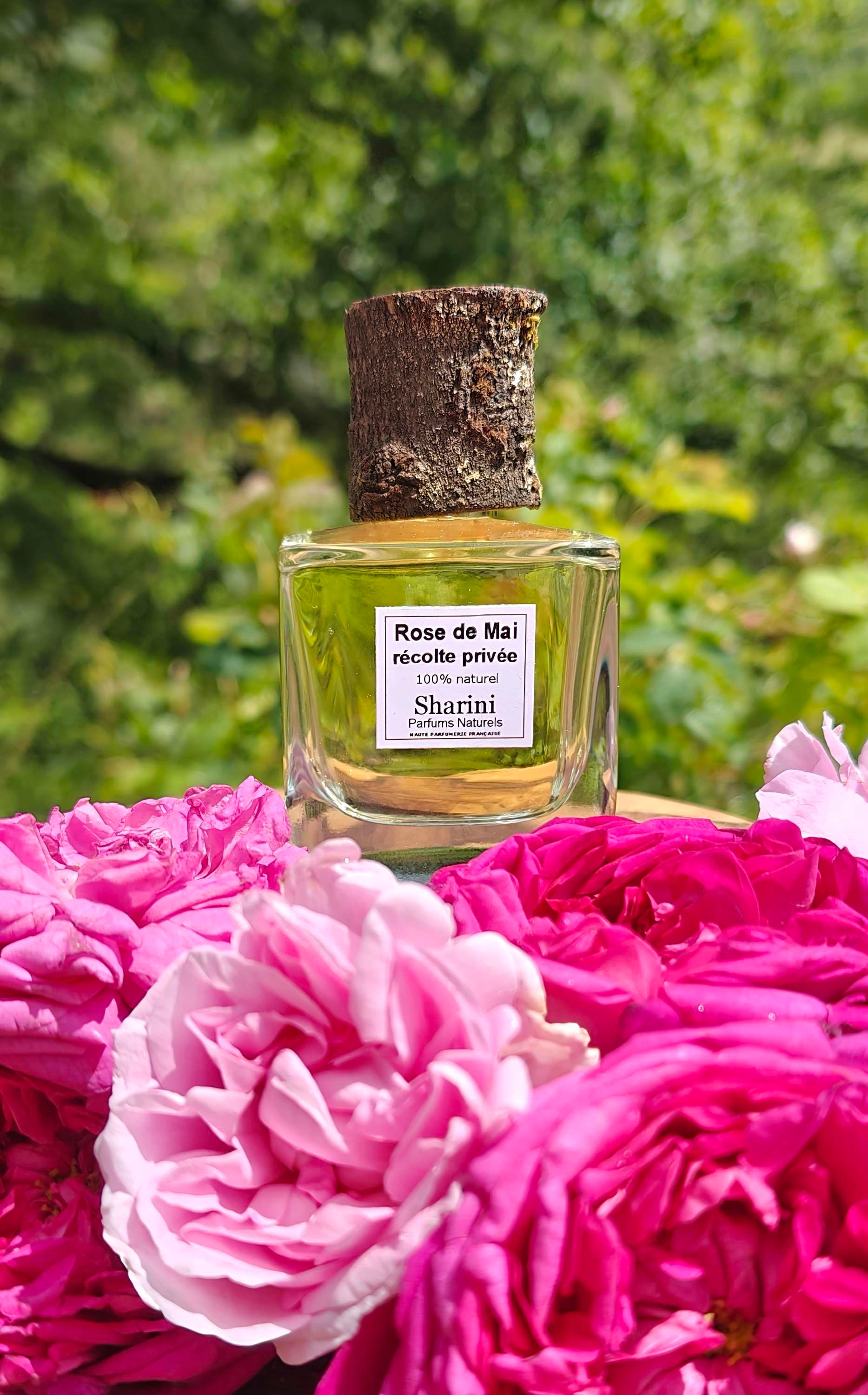 Rose de Mai (récolte privée)