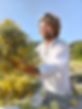 Nick NICHOLAS IMMORTELLE.jpg