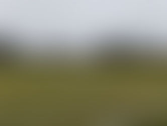 20° GIORNATA - IL RESOCONTO ⚽