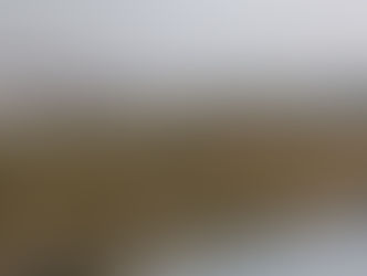 19° GIORNATA - IL RESOCONTO ⚽