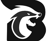 Badger log copy.png