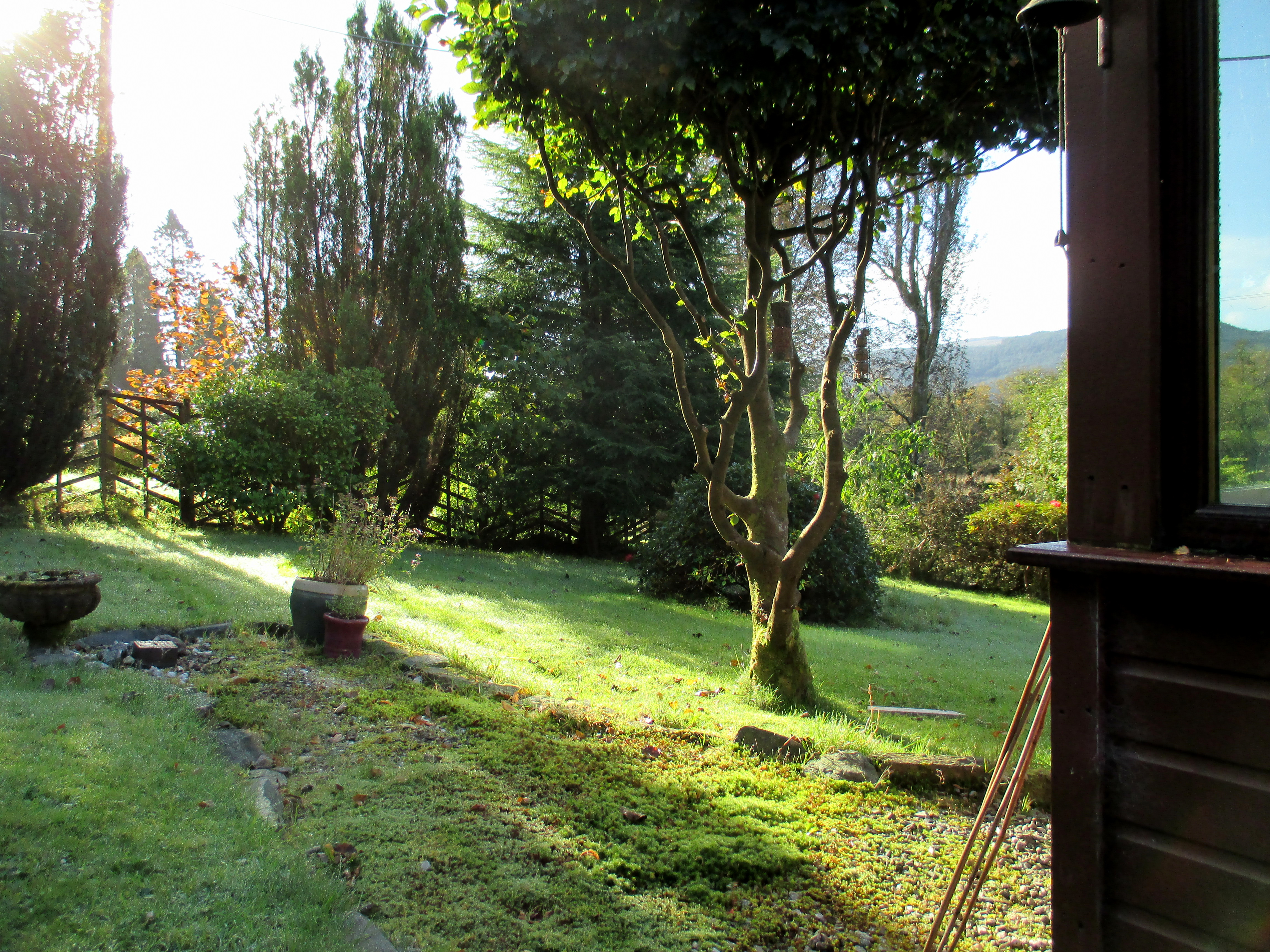 St Bride Hermitage garden